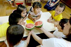 晴れた日はお散歩や近くの公園で遊び、食育活動や健康的な身体作りを大切にしている社会福祉法人の小規模な認可保育園