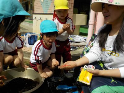 夏休みや冬休みなど長期休暇中は勤務がないため子育てとの両立もしやすい幼稚園